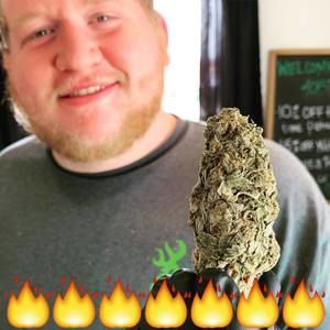 Meet your Posher, Philip